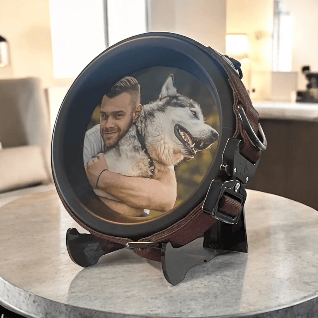 Large Dog Collar Frame | "The Labrador" - Ulti - Mutt Toys