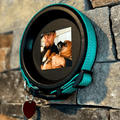 Large Dog Collar Frame | "The Labrador" - Ulti - Mutt Toys
