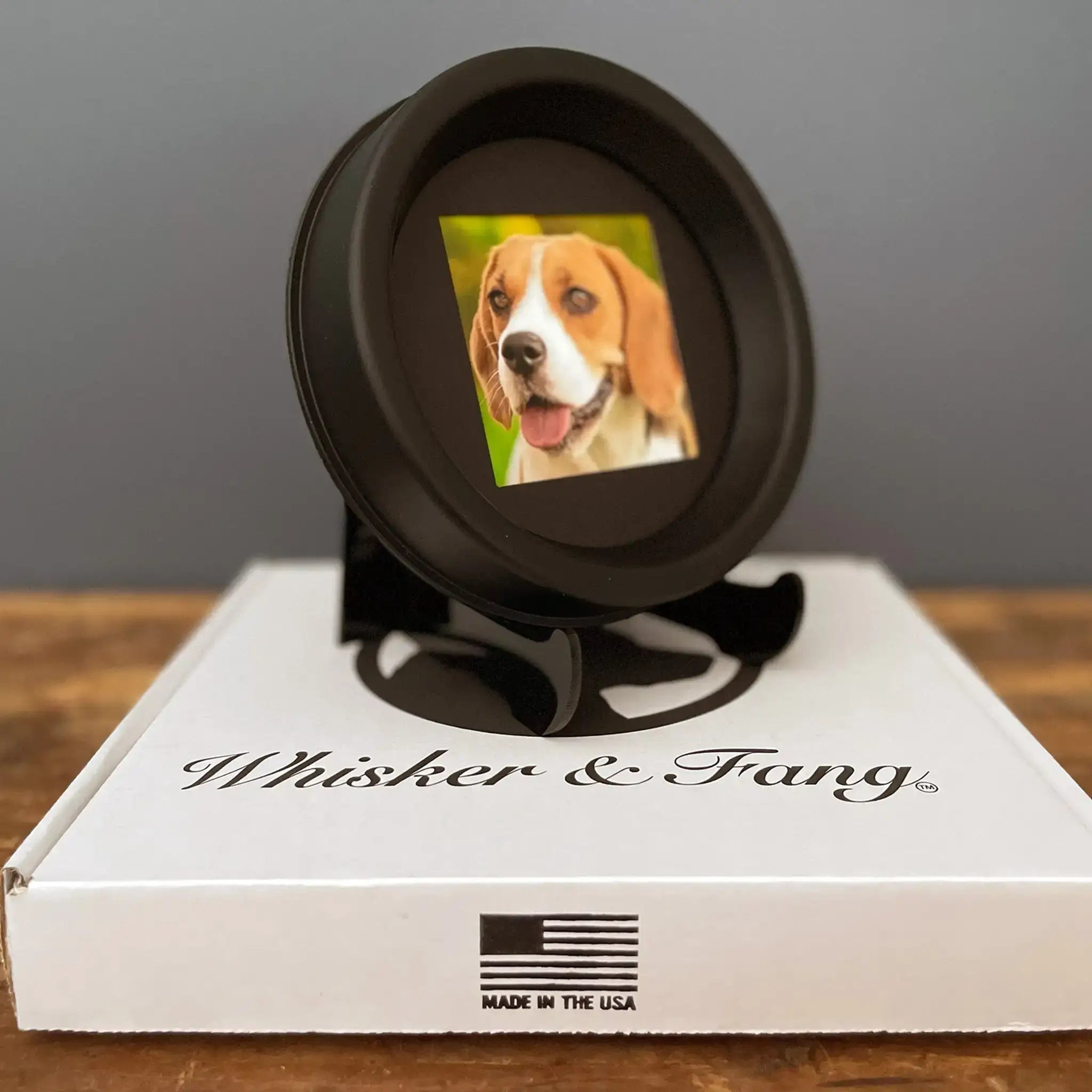 Medium Dog Collar Frame and Stand Bundle | "The Beagle" - Ulti - Mutt Toys