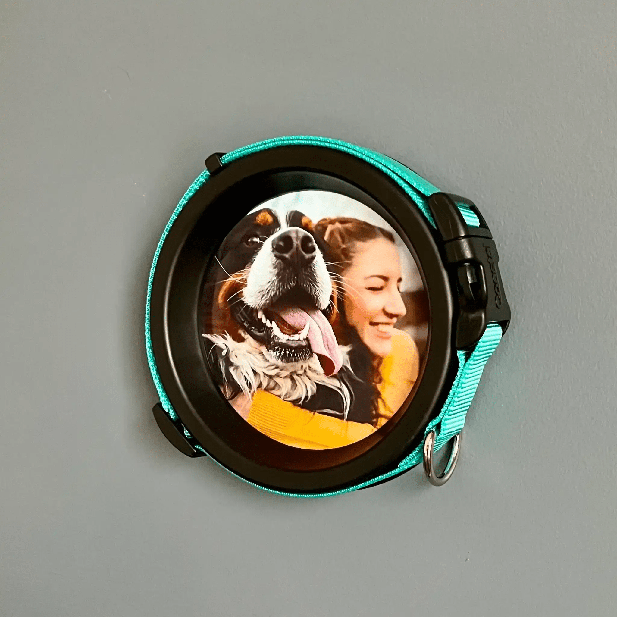 Medium Dog Collar Frame | "The Beagle" - Ulti - Mutt Toys