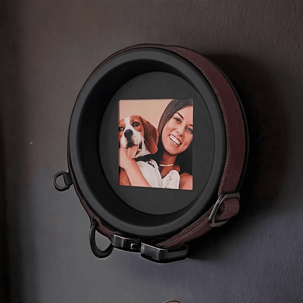 Medium Dog Collar Frame | "The Beagle" - Ulti - Mutt Toys