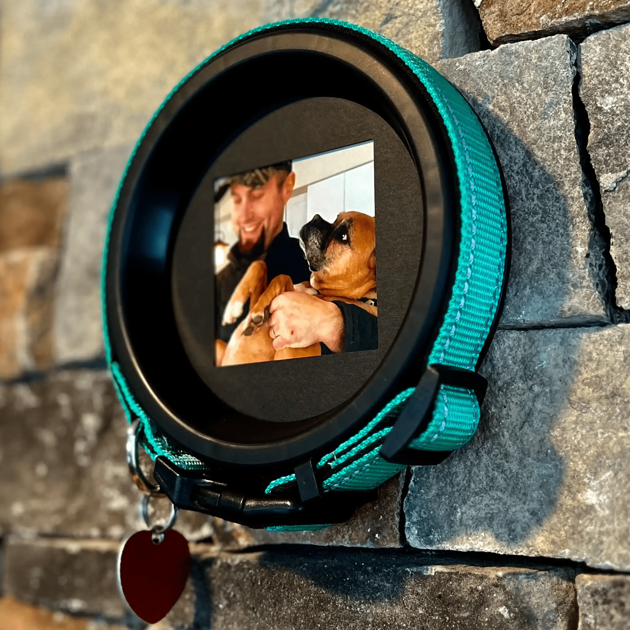 Medium Dog Collar Frame | "The Beagle" - Ulti - Mutt Toys