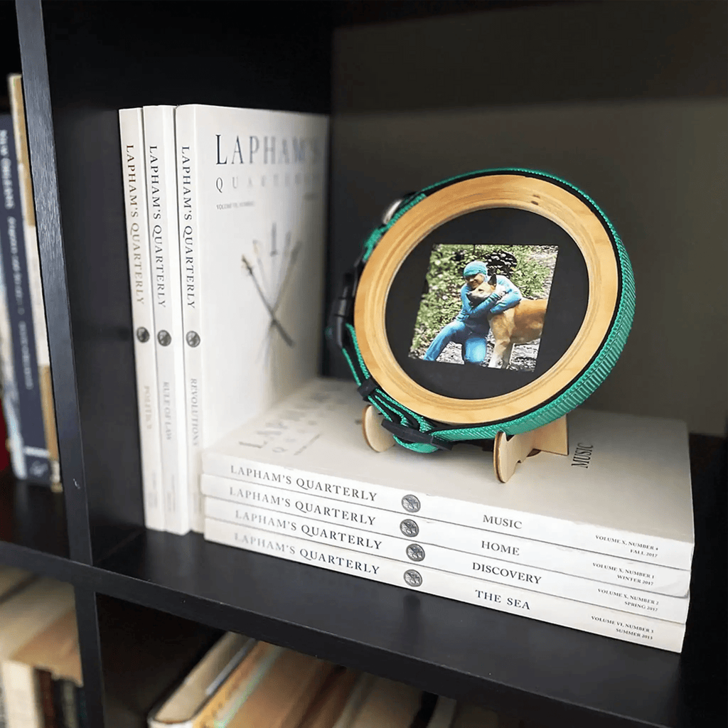 Medium Dog Collar Frame | "The Beagle" - Ulti - Mutt Toys