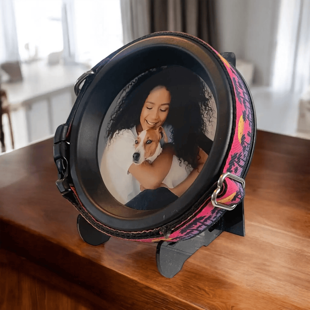Medium Dog Collar Frame | "The Beagle" - Ulti - Mutt Toys