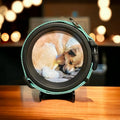 Medium Dog Collar Frame | "The Beagle" - Ulti - Mutt Toys