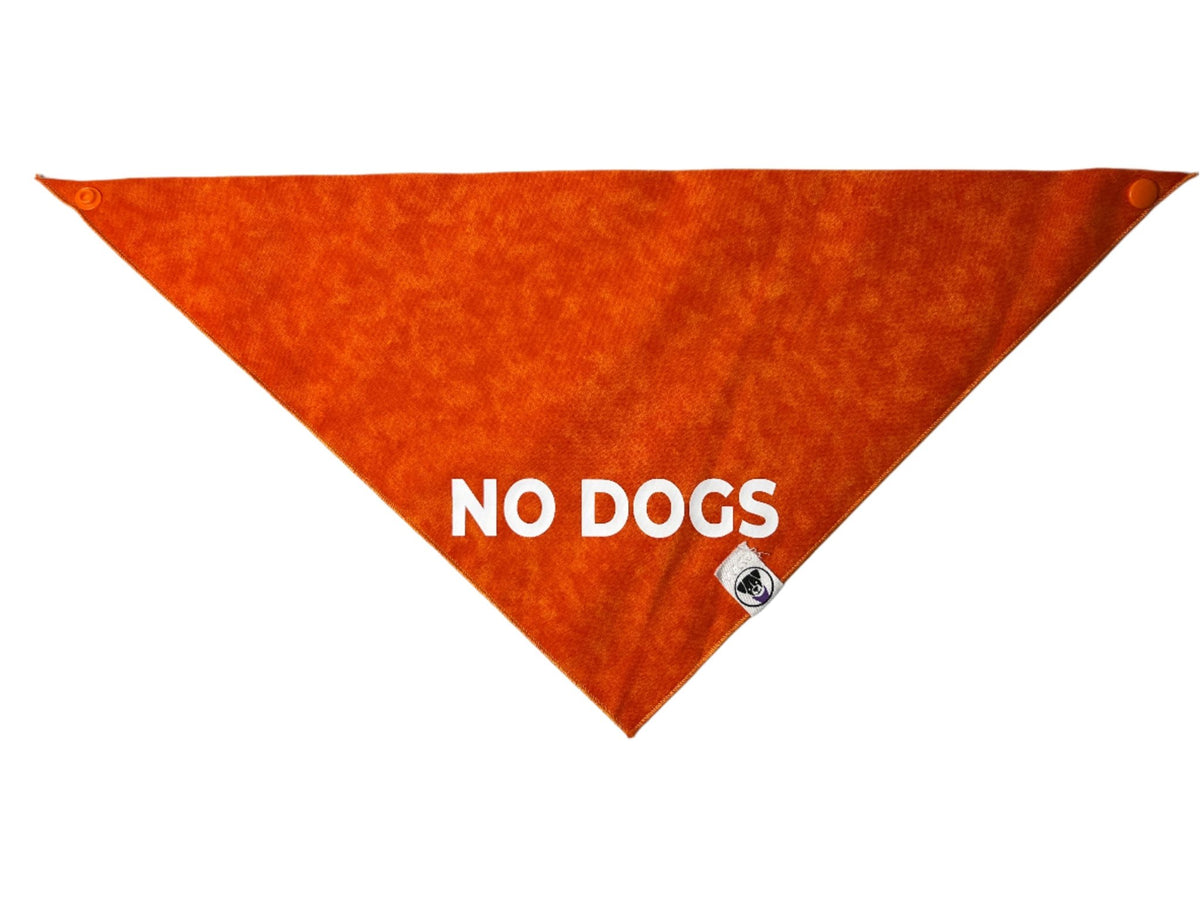 No Dogs Bandana - Ulti-Mutt Toys