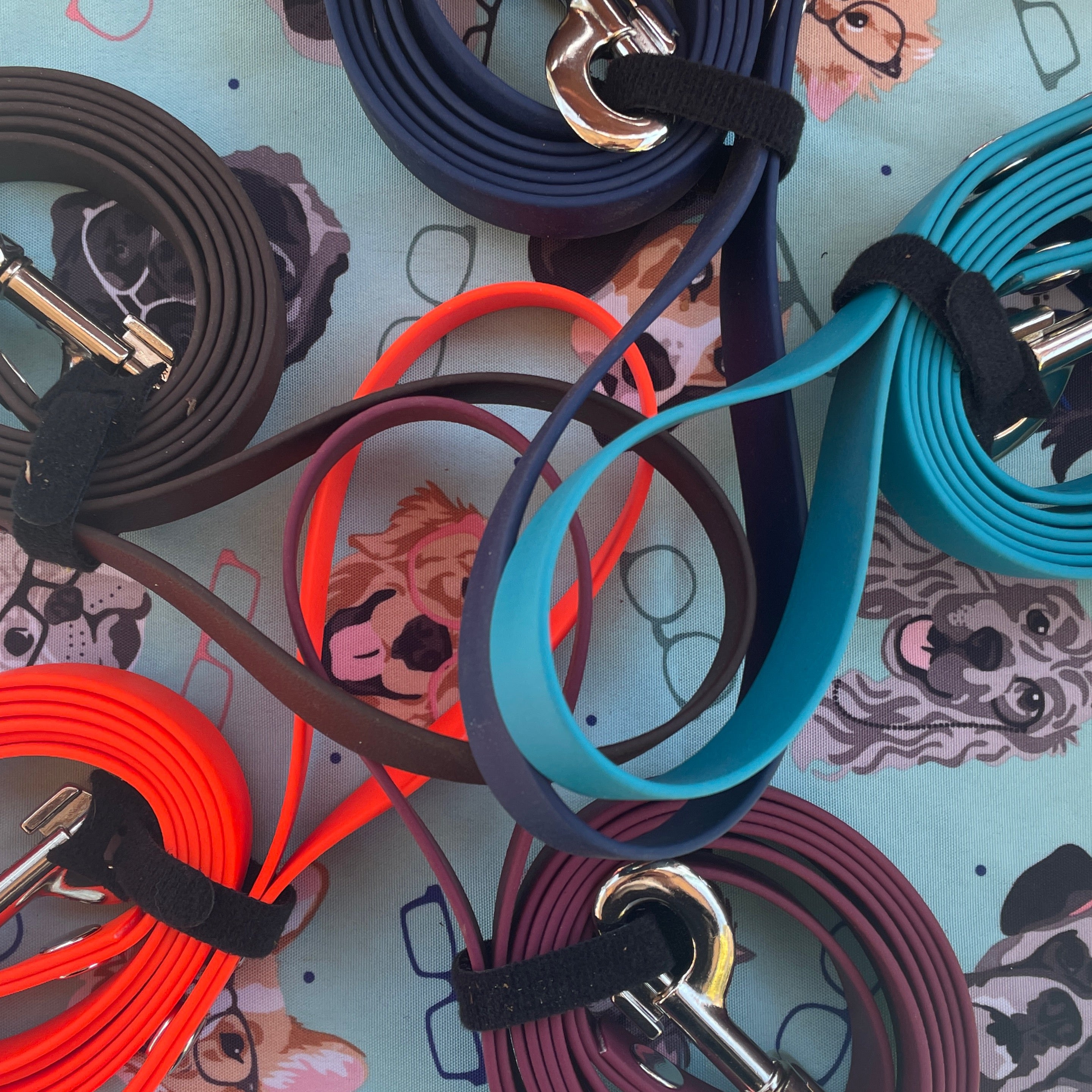 Biothane Standard leash