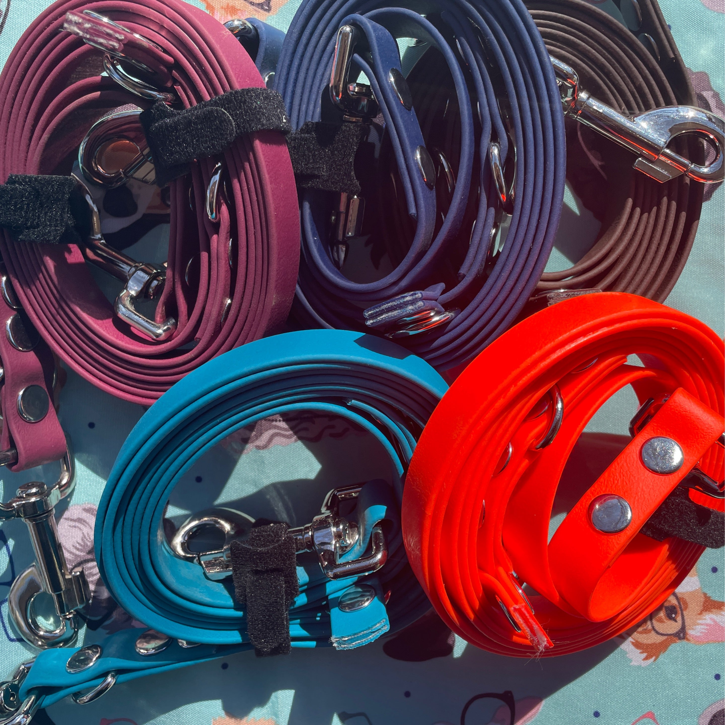 Biothane Eurolead - 8 Way Leash - Hands free