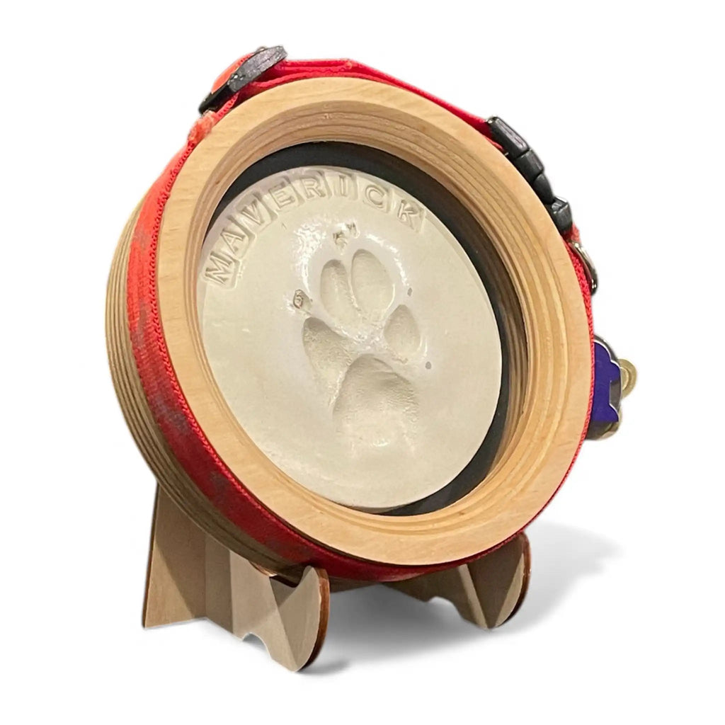 Paw Print & Collar Memorial Frame Kit - Ulti - Mutt Toys
