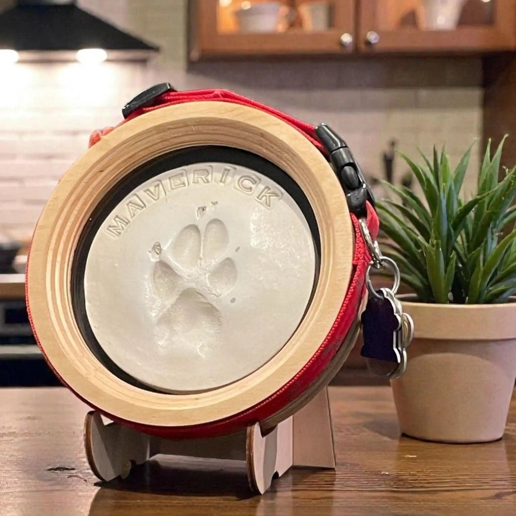 Paw Print & Collar Memorial Frame Kit - Ulti - Mutt Toys