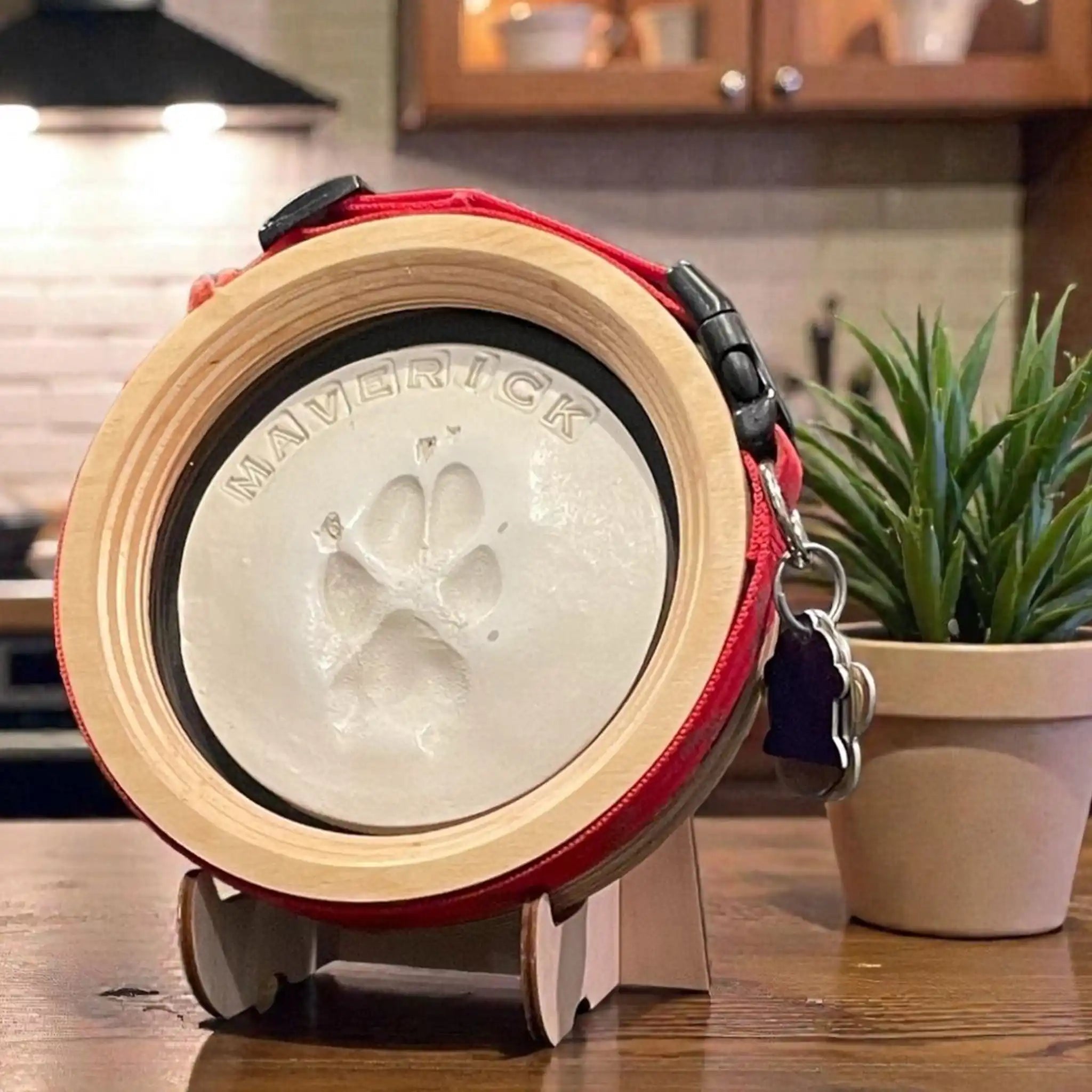 Paw Print & Collar Memorial Frame Kit - Ulti - Mutt Toys