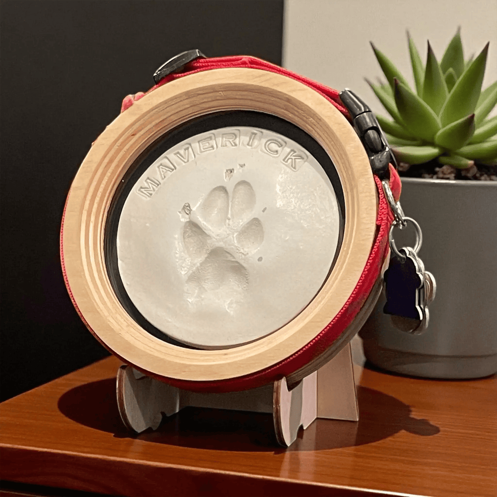 Paw Print & Collar Memorial Frame Kit - Ulti - Mutt Toys
