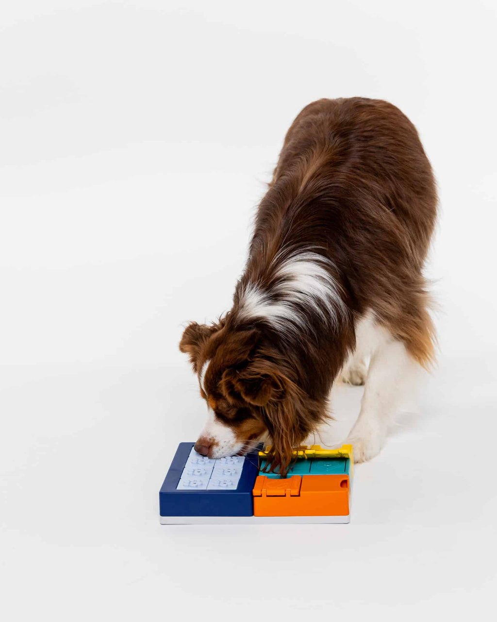 Pawzler Set - Smarty - Ulti-Mutt Toys