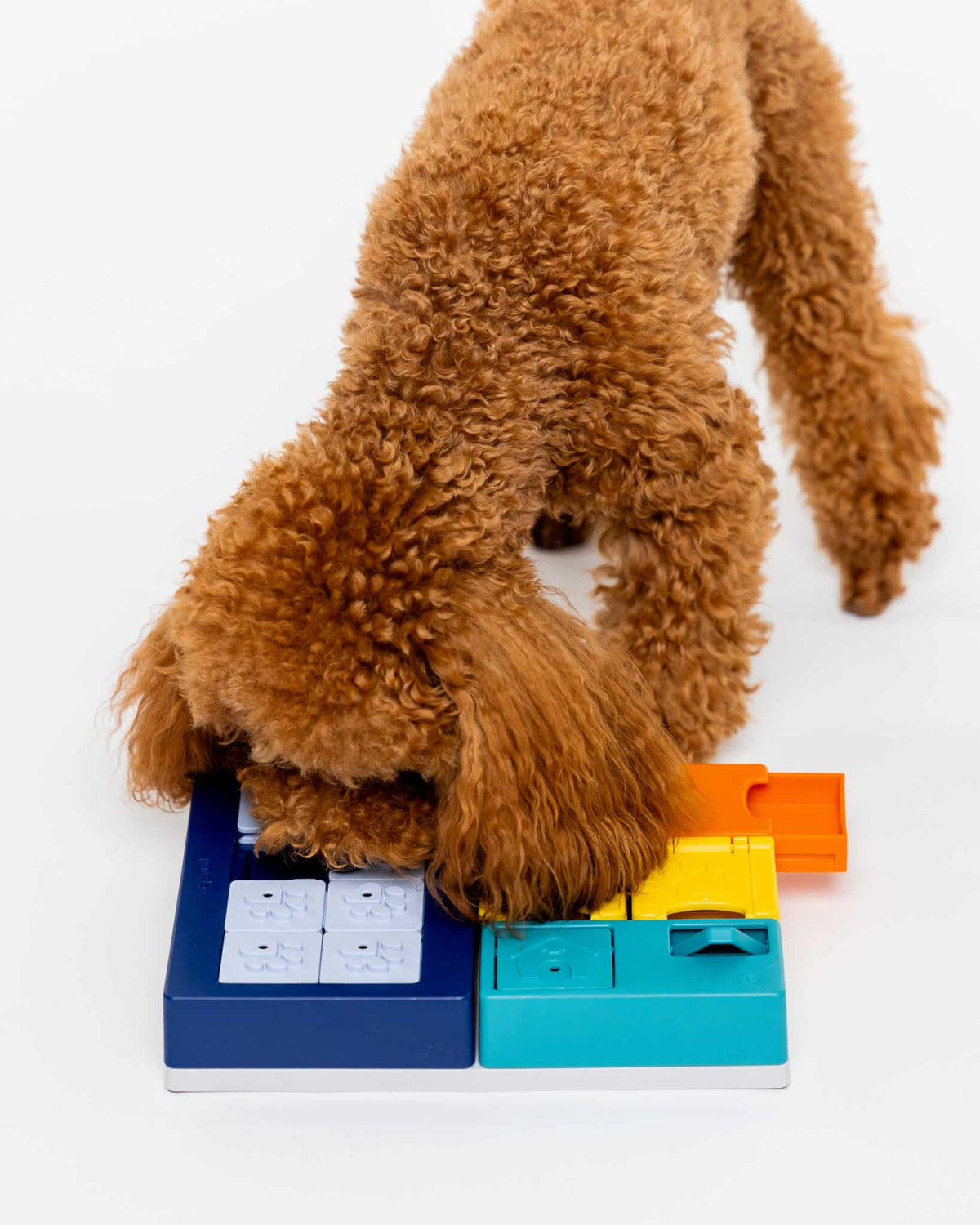 Pawzler Set - Smarty - Ulti-Mutt Toys