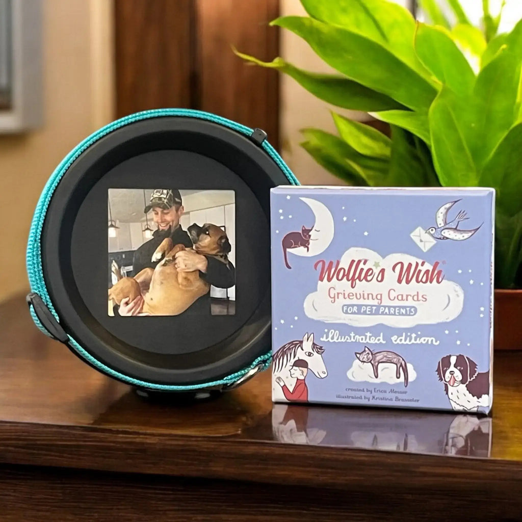 Pet Collar Display Frame & Pet Loss Cards | Memorial Gift Set - Ulti-Mutt Toys
