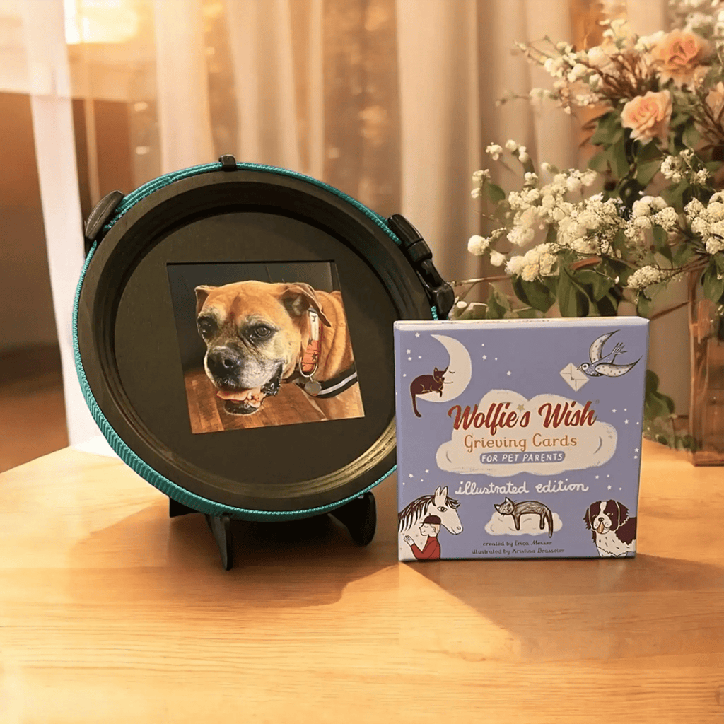 Pet Collar Display Frame & Pet Loss Cards | Memorial Gift Set - Ulti-Mutt Toys
