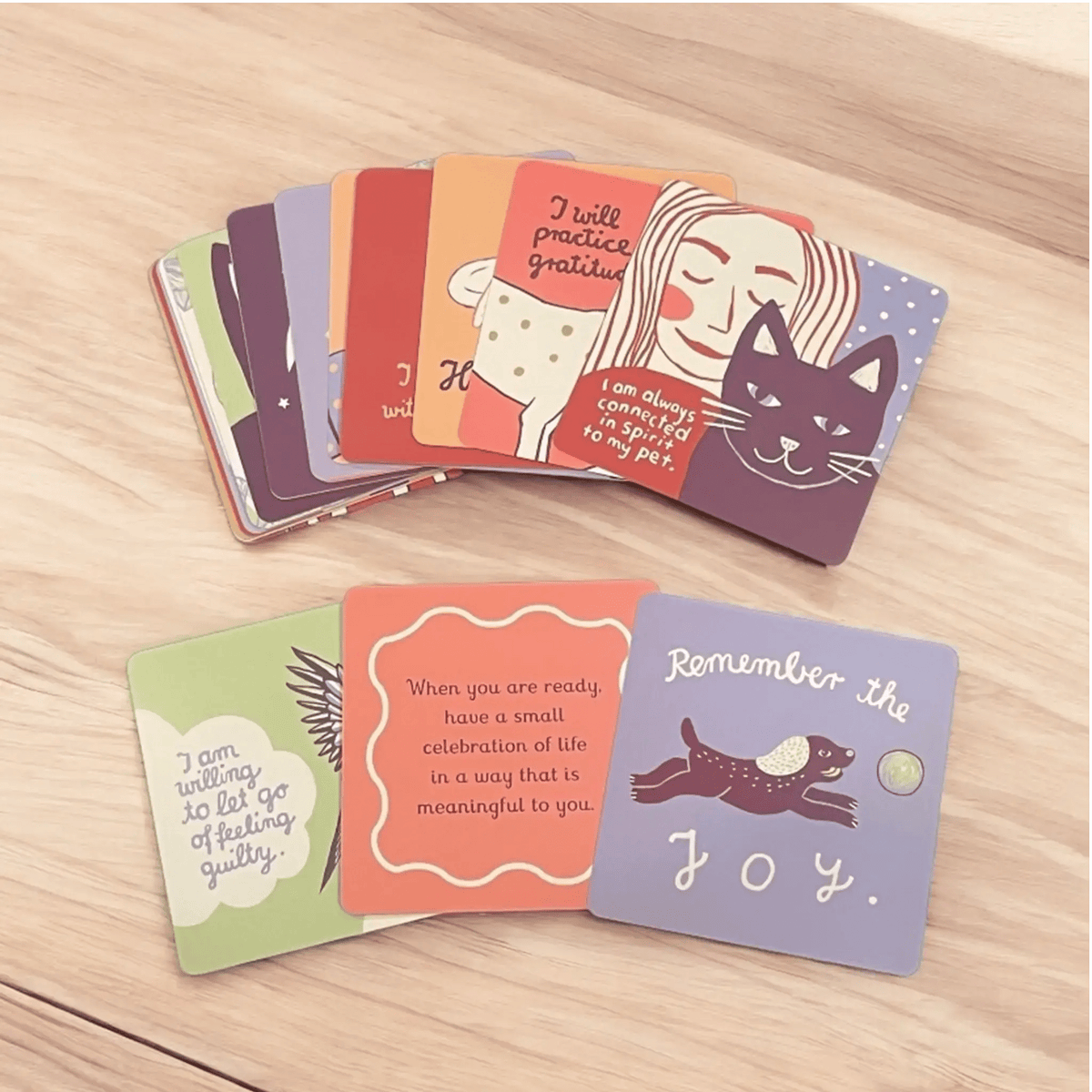 Pet Collar Display Frame & Pet Loss Cards | Memorial Gift Set - Ulti-Mutt Toys