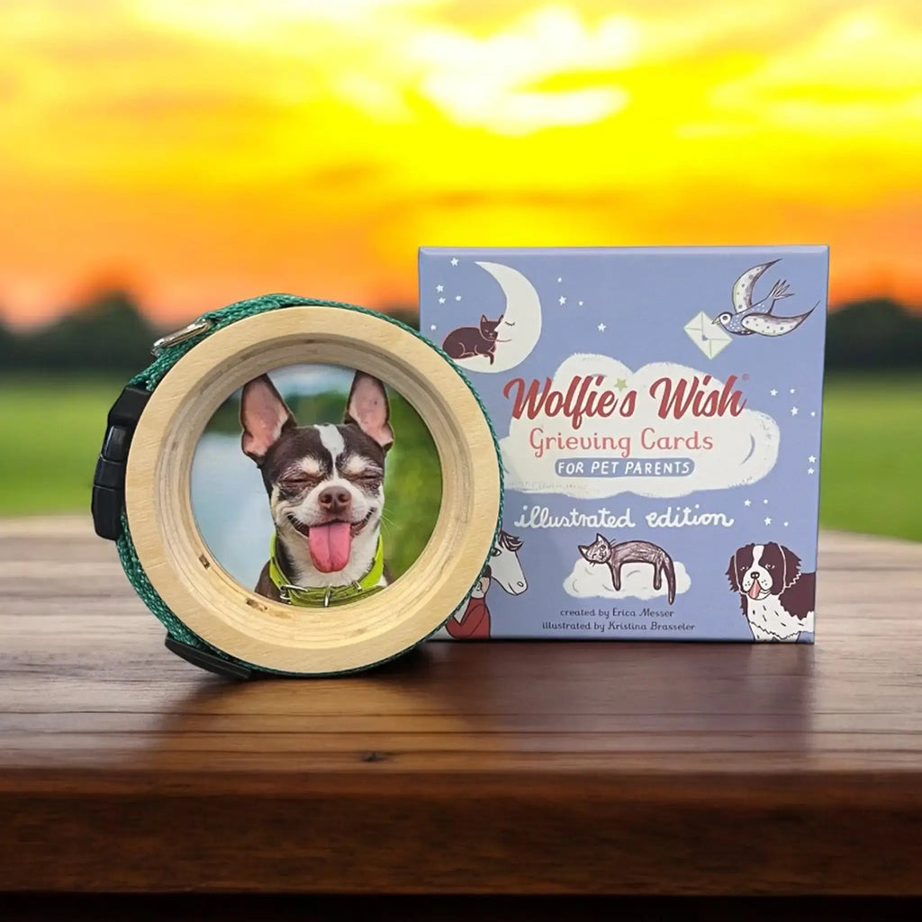 Pet Collar Display Frame & Pet Loss Cards | Memorial Gift Set - Ulti-Mutt Toys