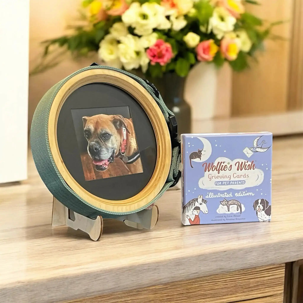 Pet Collar Display Frame & Pet Loss Cards | Memorial Gift Set - Ulti-Mutt Toys
