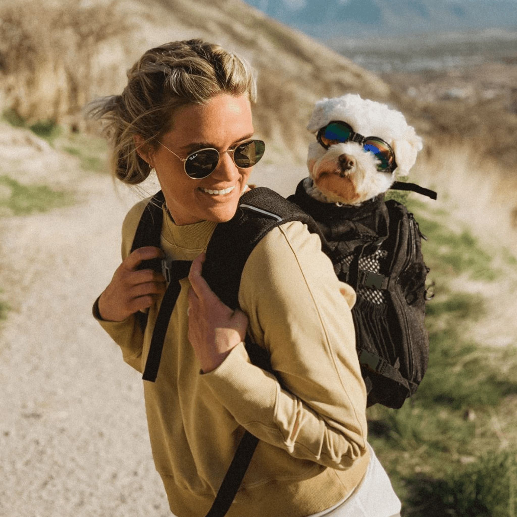 Plus 2 | Dog Carrier with Removable Storage - Ulti - Mutt Toys