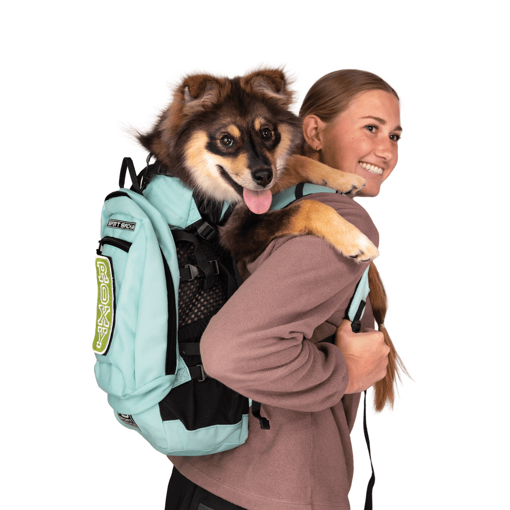 Plus 2 | Dog Carrier with Removable Storage - Ulti - Mutt Toys