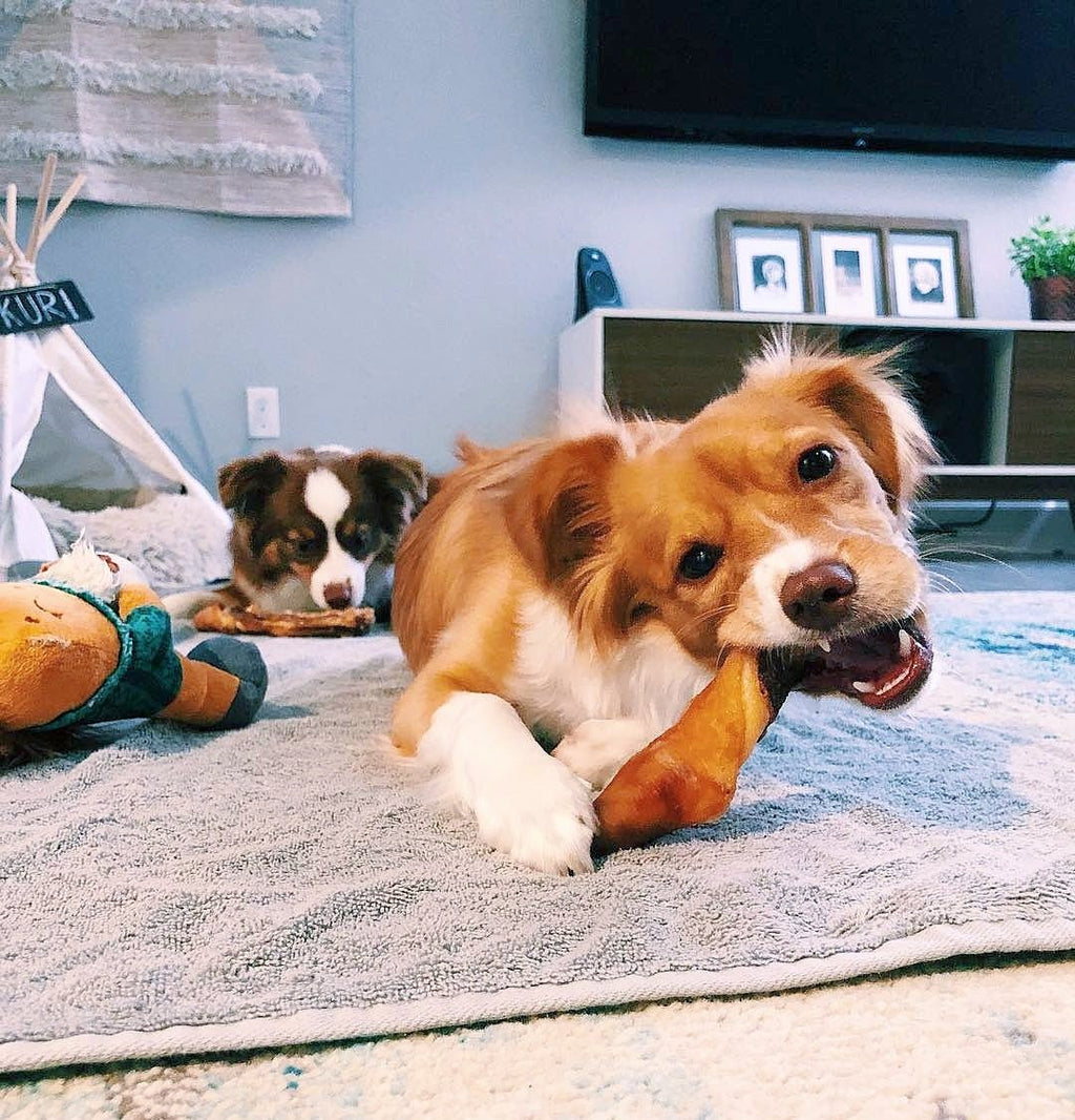 Pork Tails - Ulti - Mutt Toys
