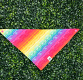 Rainbow Brushstrokes Bandana - Ulti-Mutt Toys