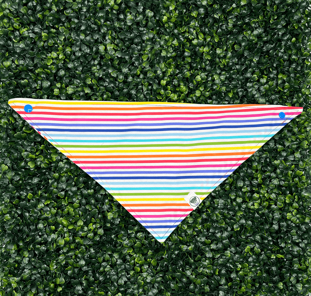 Rainbow Pride Stripe Bandana - Ulti-Mutt Toys
