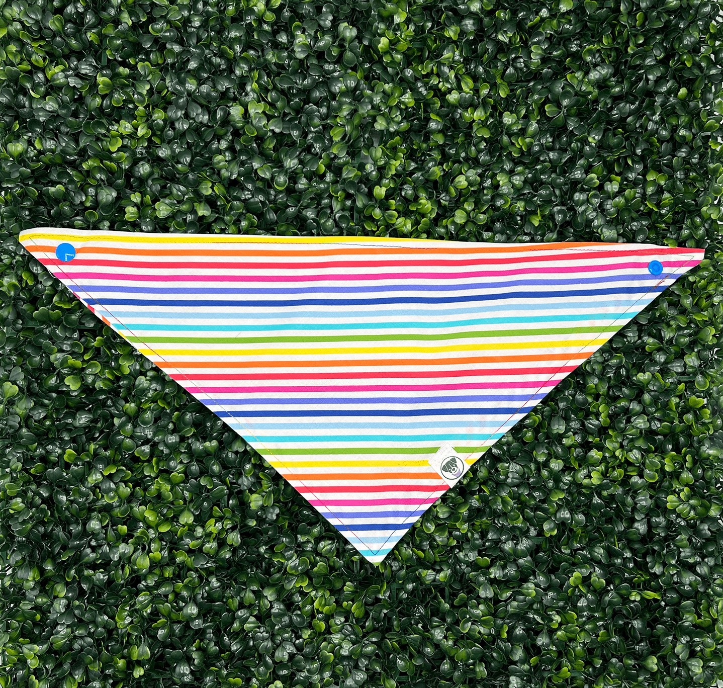 Rainbow Pride Stripe Bandana - Ulti-Mutt Toys