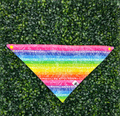Rainbow Stripes and Dots Bandana - Ulti-Mutt Toys
