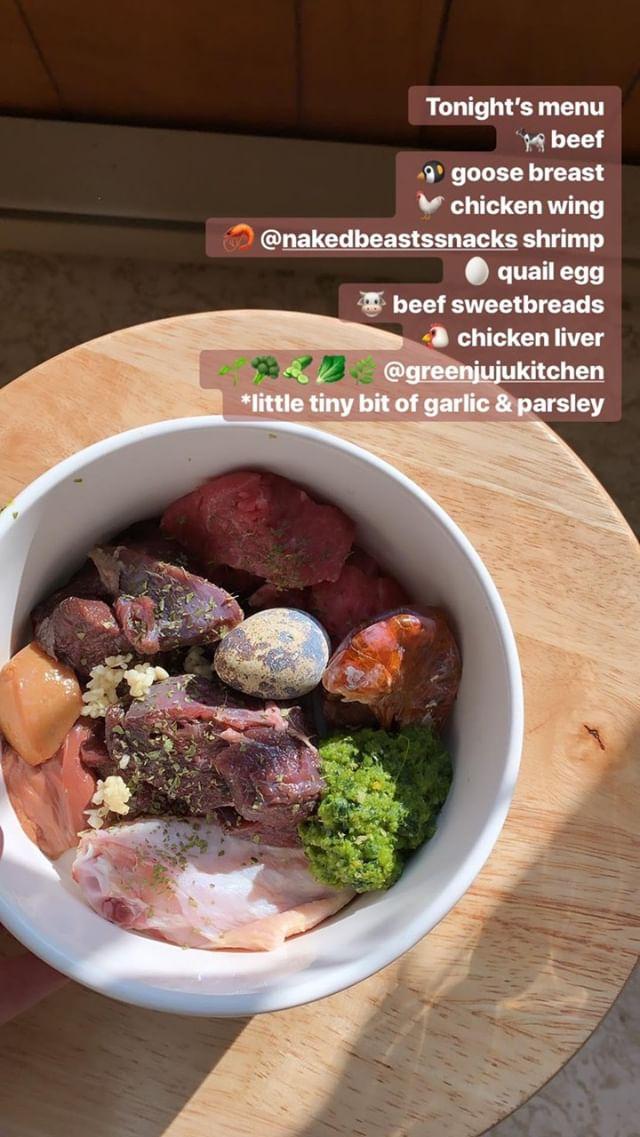 Shrimp (+Freeze Dried Options) - Ulti - Mutt Toys