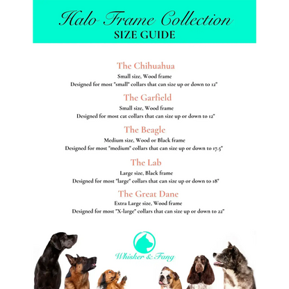 Large Dog Collar Frame and Stand Bundle | "The Labrador"