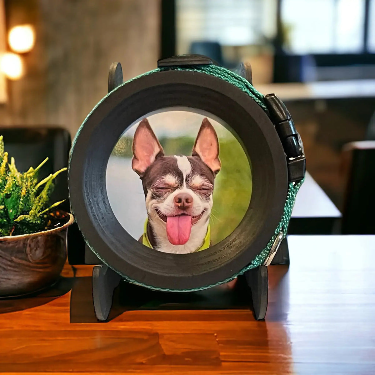 Small Black Wood Display Stand - Ulti-Mutt Toys