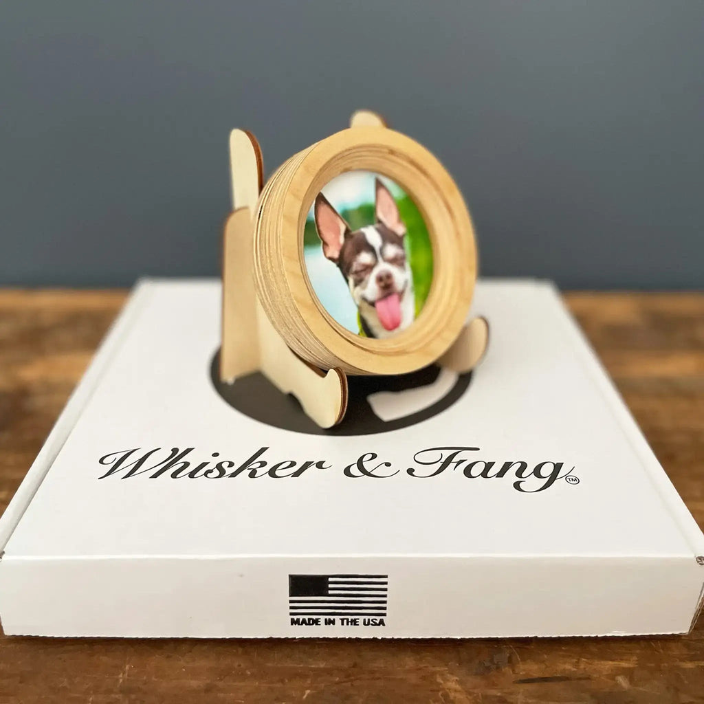 Small Dog Collar Frame and Stand Bundle | "The Chihuahua" - Ulti-Mutt Toys