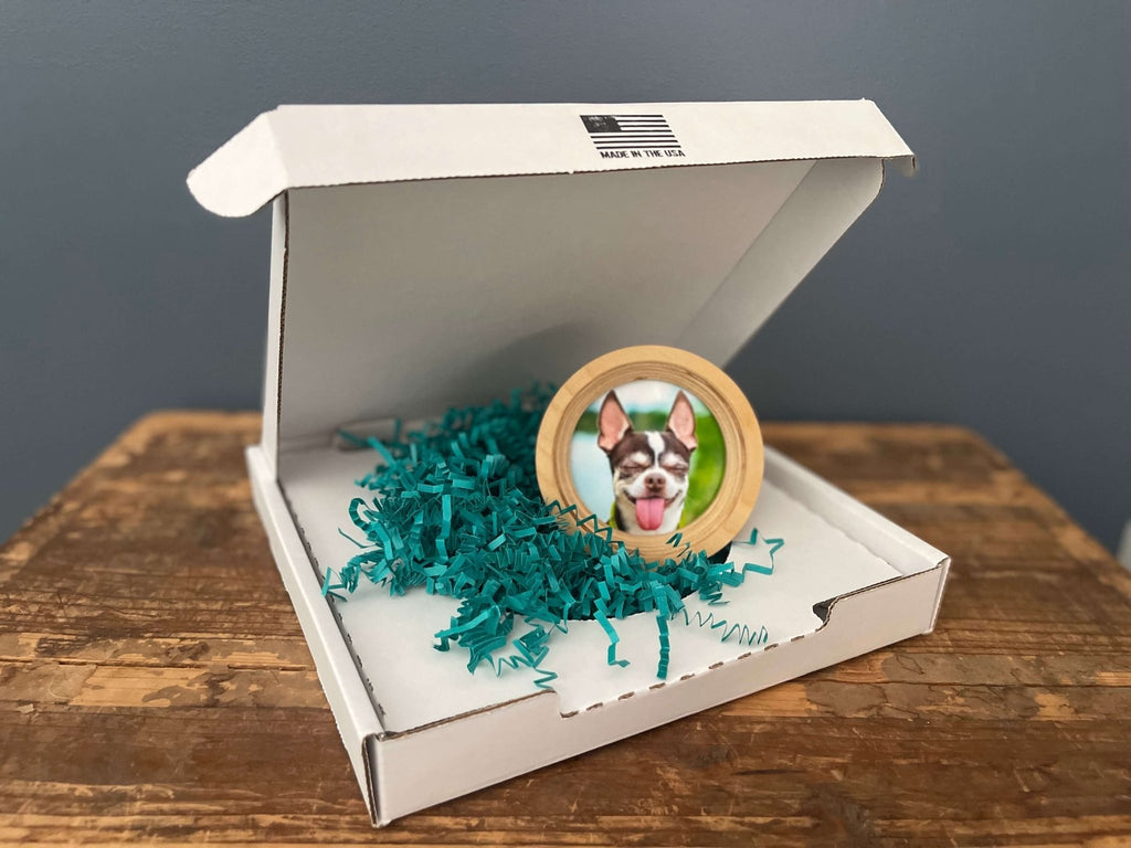 Small Dog Collar Frame and Stand Bundle | "The Chihuahua" - Ulti-Mutt Toys