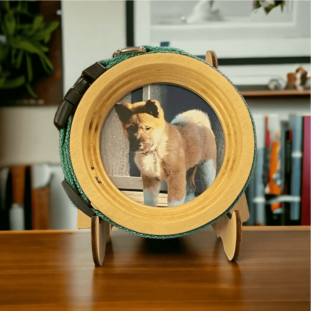 Small Dog Collar Frame and Stand Bundle | "The Chihuahua" - Ulti-Mutt Toys