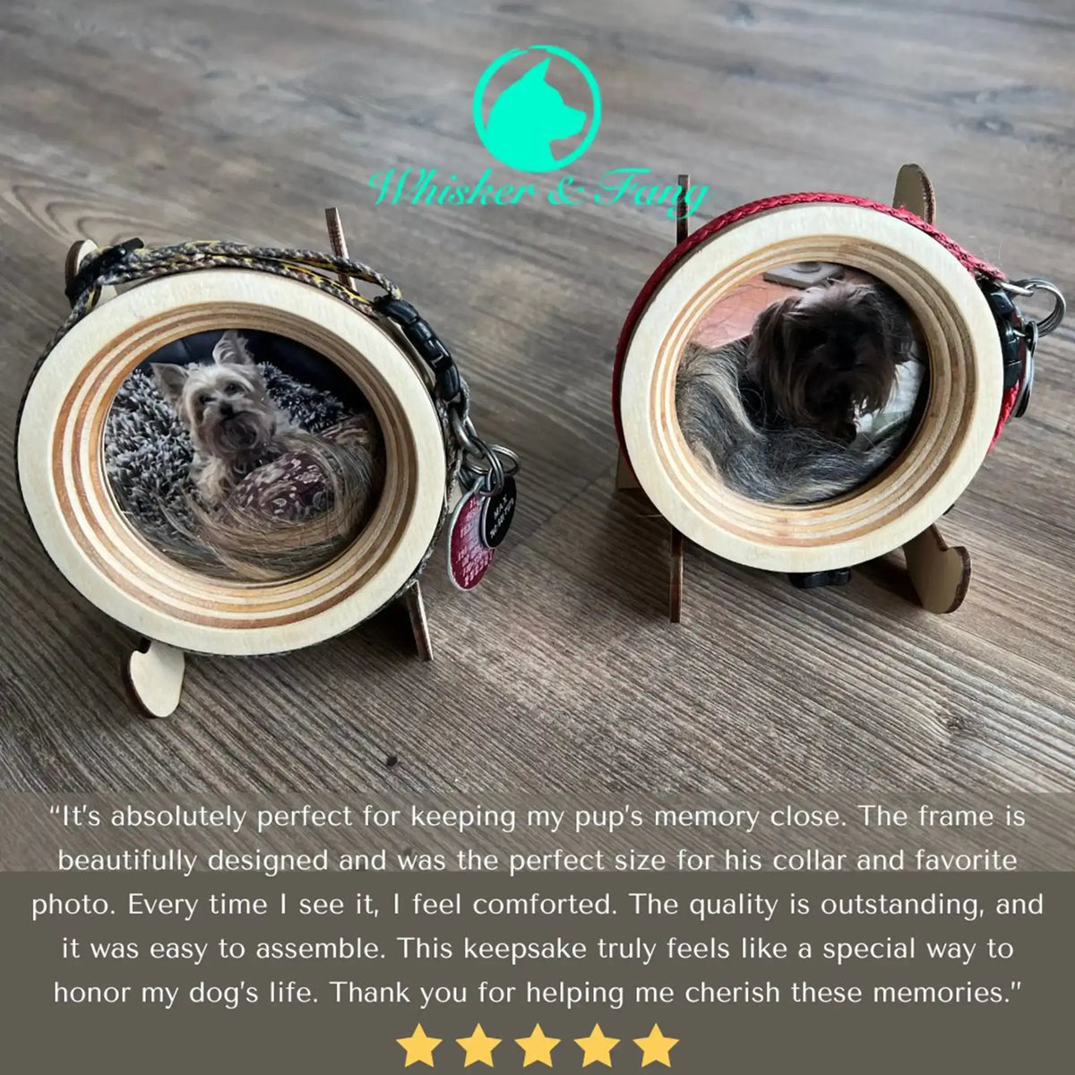 Small Dog Collar Frame and Stand Bundle | "The Chihuahua" - Ulti-Mutt Toys
