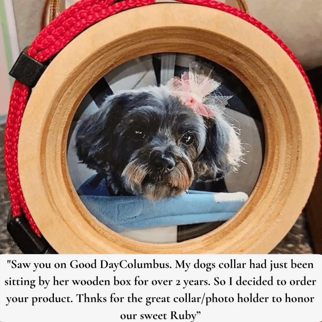 Small Dog Collar Frame and Stand Bundle | "The Chihuahua" - Ulti-Mutt Toys
