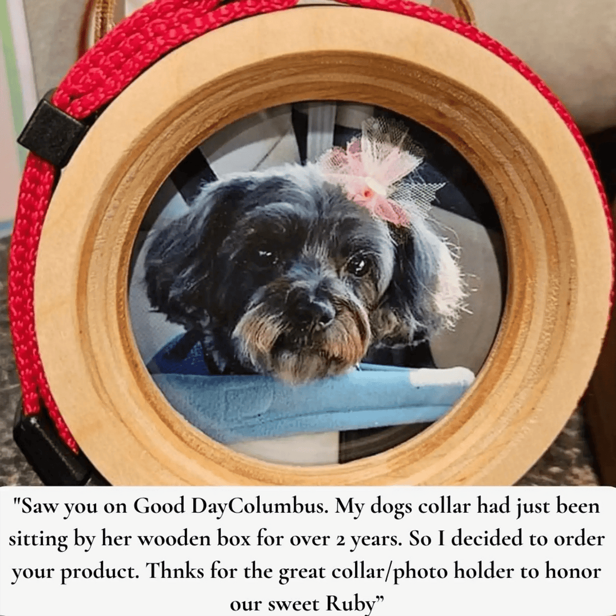 Small Dog Collar Frame and Stand Bundle | "The Chihuahua" - Ulti-Mutt Toys