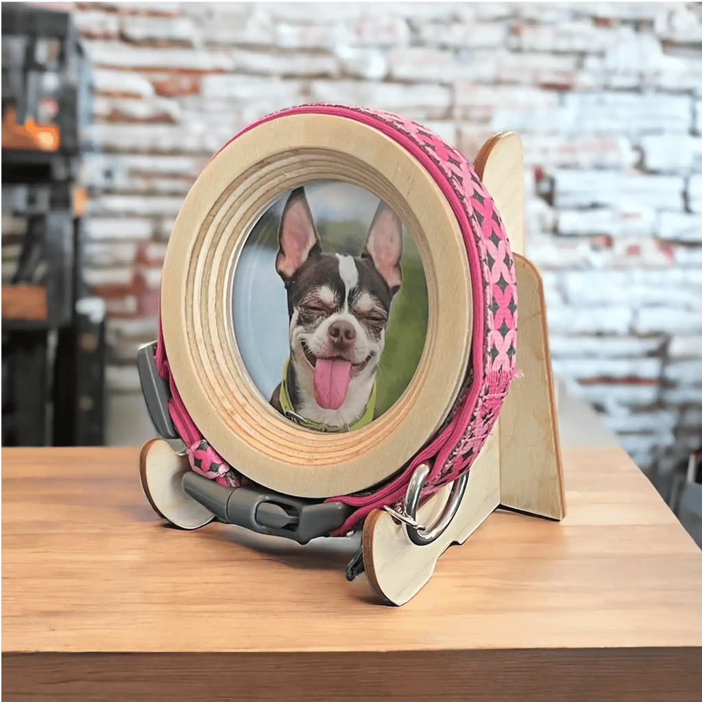 Small Dog Collar Frame and Stand Bundle | "The Chihuahua" - Ulti-Mutt Toys