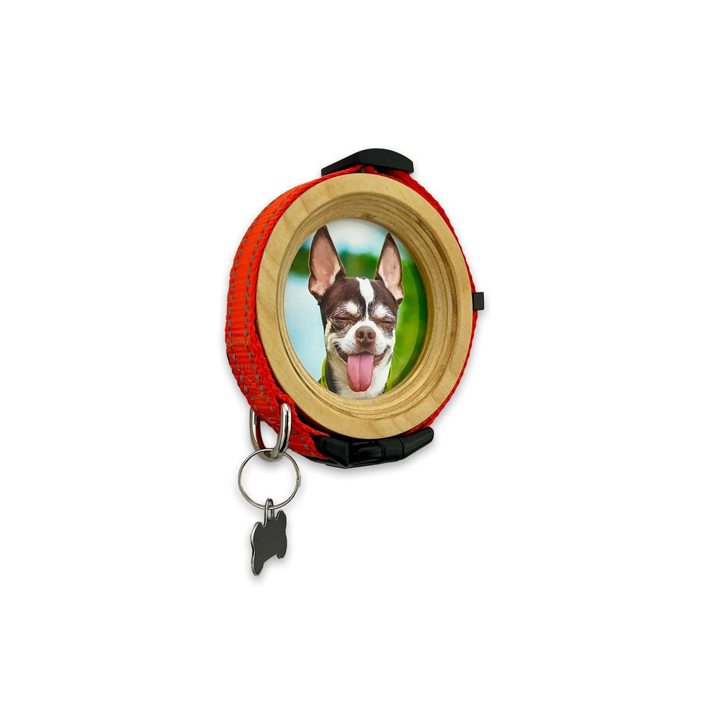 Small Dog Collar Frame | "The Chihuahua" - Ulti-Mutt Toys