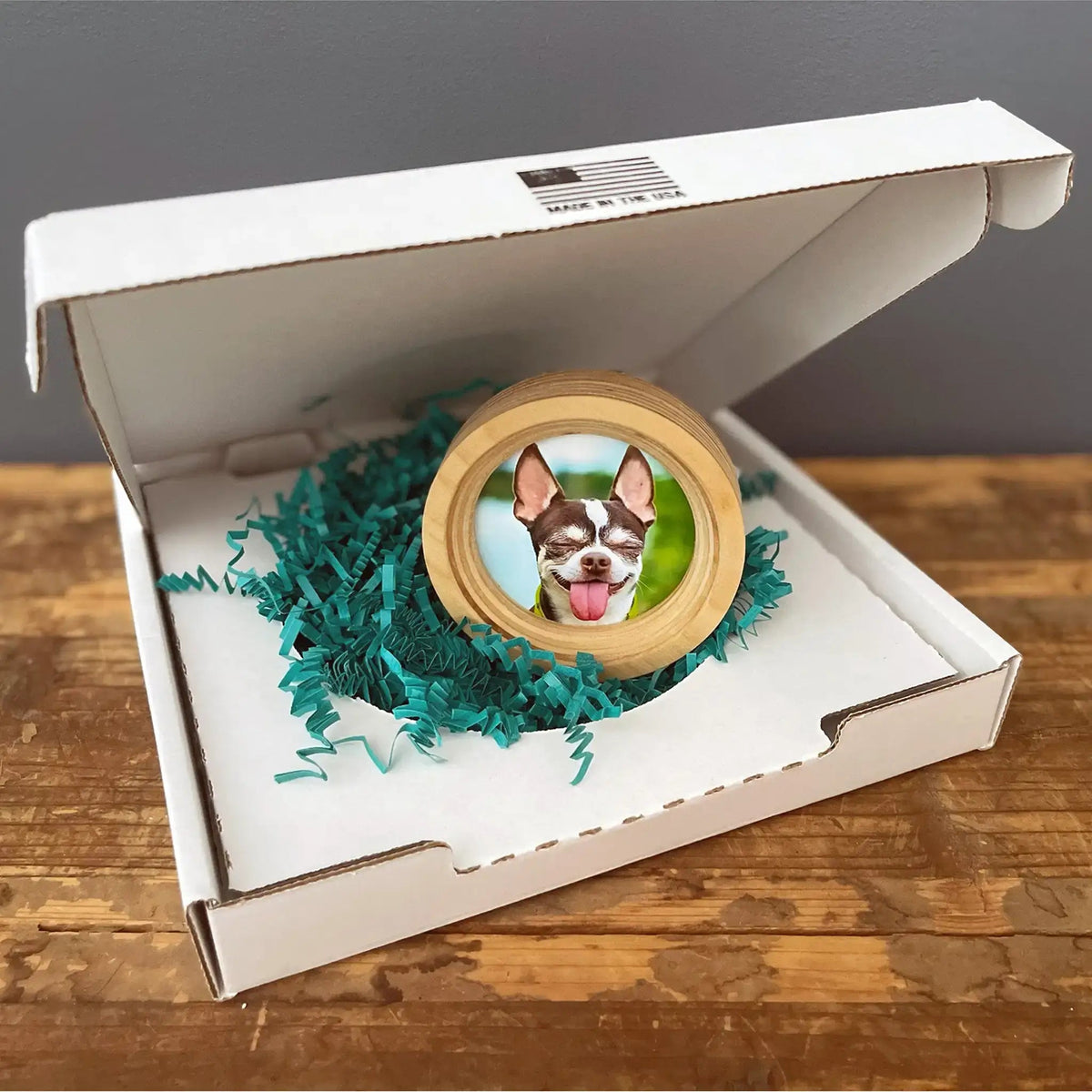 Small Dog Collar Frame | "The Chihuahua" - Ulti-Mutt Toys