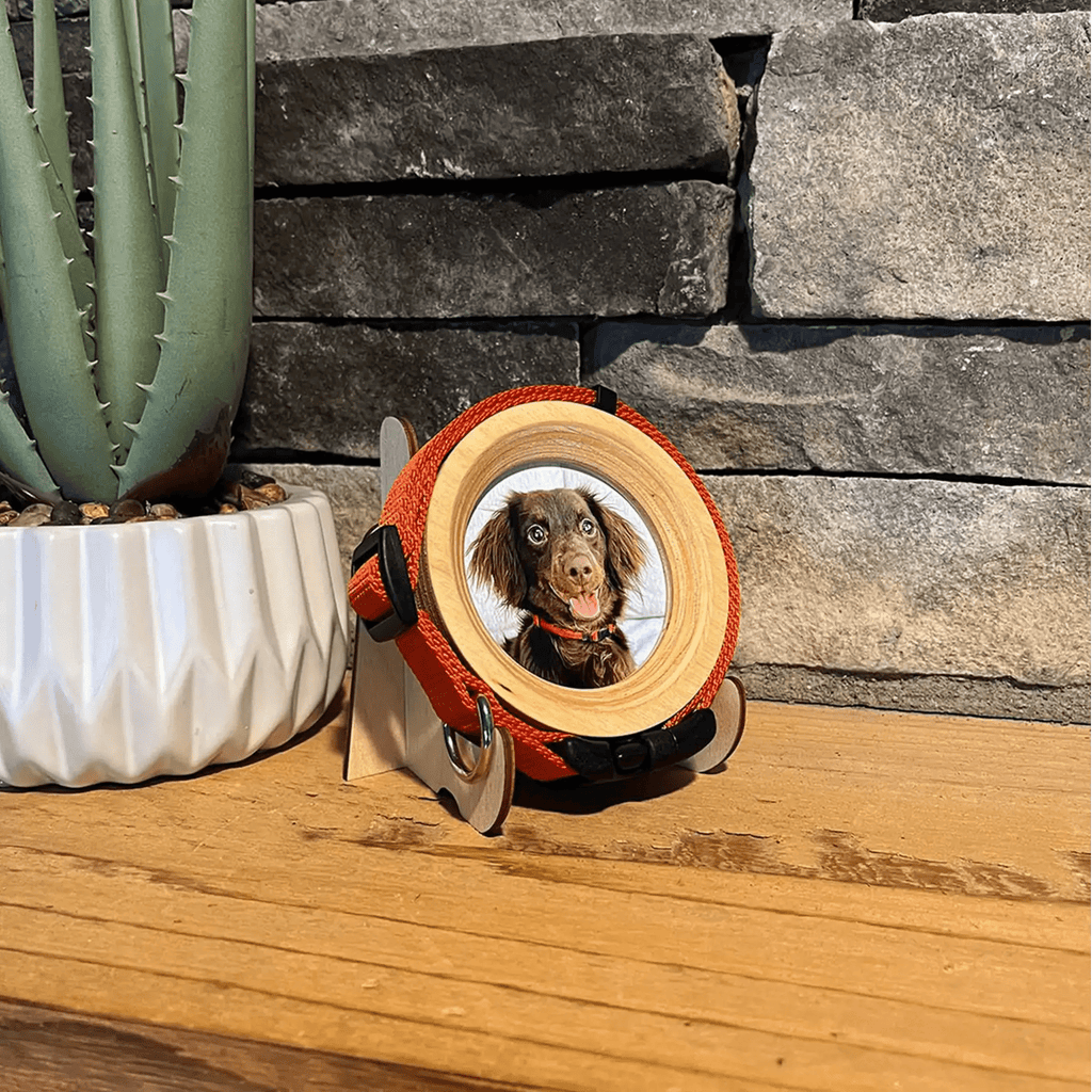 Small Wood Display Stand - Ulti-Mutt Toys