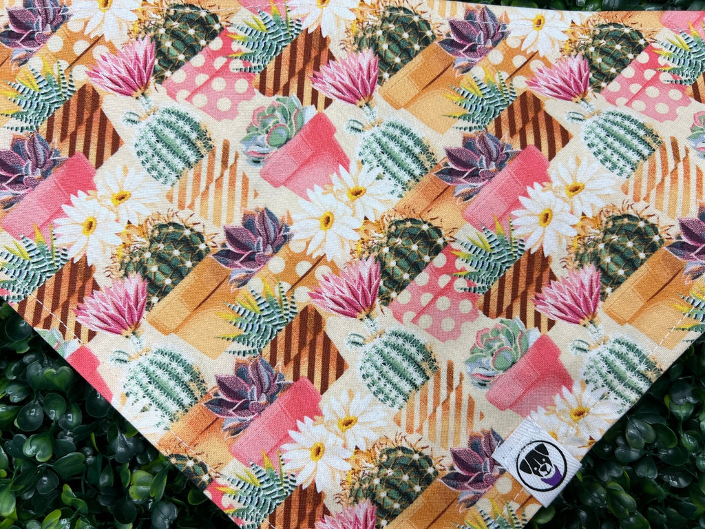 Spring Time Dog Banana Succulents and Cacti - Ulti-Mutt Toys