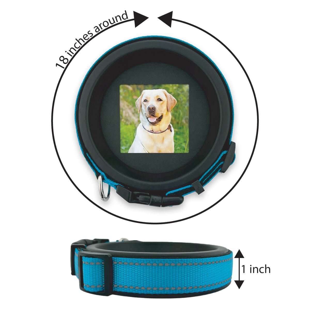 Large Dog Collar Frame and Stand Bundle | "The Labrador"