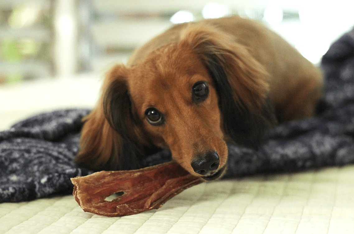 Tuesday's Natural Dog Company 6" Beef Gullet Strips - Ulti-Mutt Toys