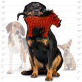 Tuffy Desert Creatures - Ulti - Mutt Toys