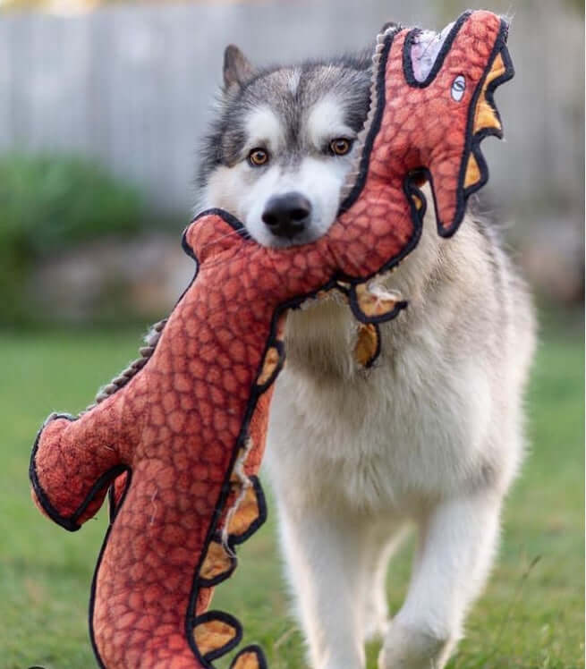 Tuffy Dinosaurs - Ulti - Mutt Toys