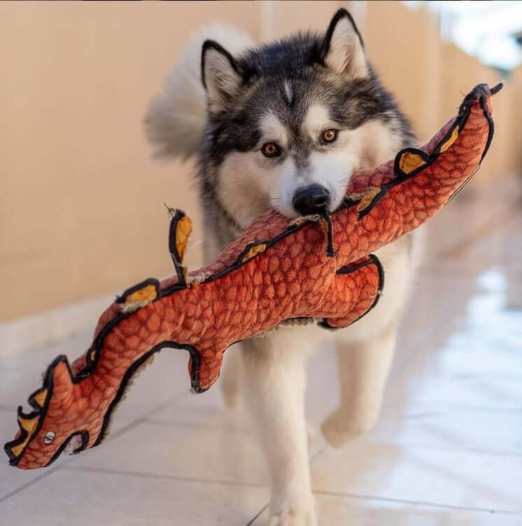 Tuffy Dinosaurs - Ulti - Mutt Toys