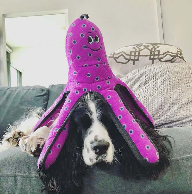 Tuffy Ocean Creatures - Ulti - Mutt Toys